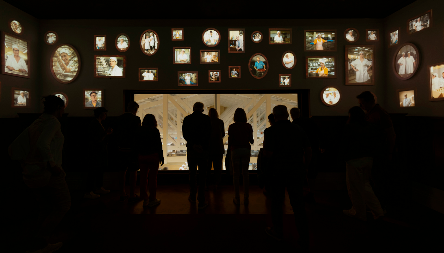 Termos e Condições